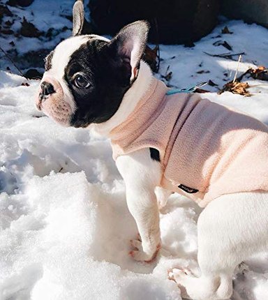 GOOBY - CHALECO DE TEJIDO POLAR PARA PERRO ROPA DE INVIERNO PARA PERROS PEQUEÑOS PARA USO EN INTERIORES Y EXTERIORES - 4