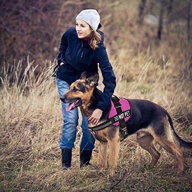 ARNÉS PERROS DOGLINE CHALECO Y 2 PARCHES EXTRAÍBLES PARA RAZAS GRANDES 28 A 38' ROSA - 6