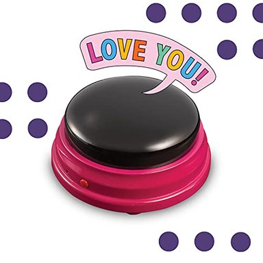 JUEGO DE BOTENES GRABABLES PARA PERROS TALKING PET - 6