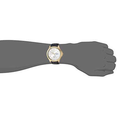 RELOJ CITIZEN HOMBRE BF2003-25A LUJO MARRÓN - 2