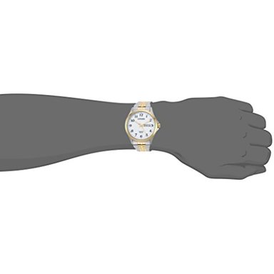 RELOJ CITIZEN HOMBRE BF5004-93A LUJO PLATEADO - 2