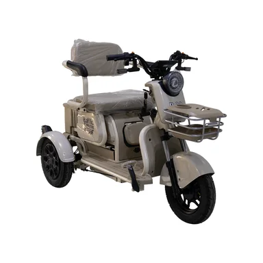 TRIMOTO ELÉCTRICA BOX CONVERTIBLE NEGRA - 2