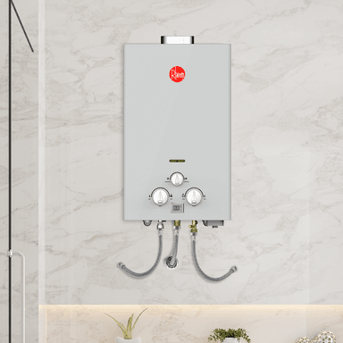 TERMA A GAS 10 L RHEEM GN TIRO FORZADO - 2
