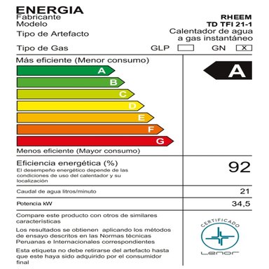 TERMA A GAS 21 L GAS NATURAL RHEEM TIRO FORZADO - 6