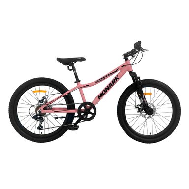 BICICLETA MONARK MIRAGE ARO 24 - 1