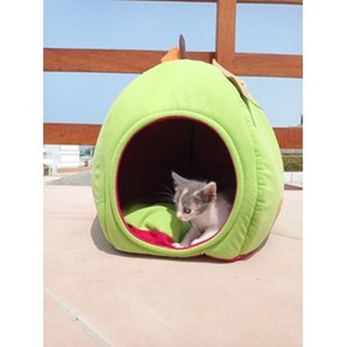 CAMA SUPETMARKET MANZANA ROJO PARA GATOS EN FORMA TAMAÑO T/U - 3