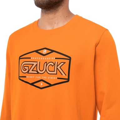 POLERA HOMBRE GZUCK HASDEN FRENCH TERRY - 4
