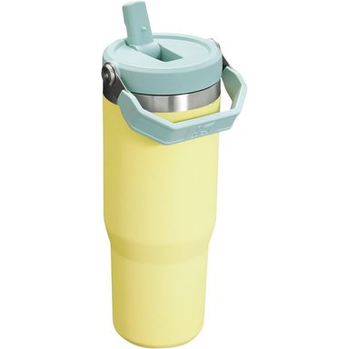 TOMATODO STANLEY ICEFLOW 30 OZ LIMA - 2