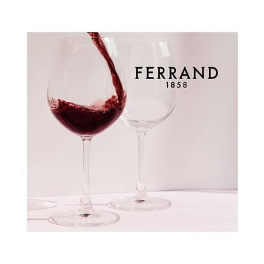 VINO TINTO DIZERES FERRAND 750ML - 2