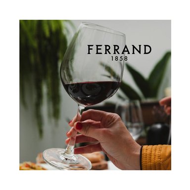 VINO TINTO DIZERES FERRAND 750ML +ENFRIADOR +MARCADOR COPA - 3