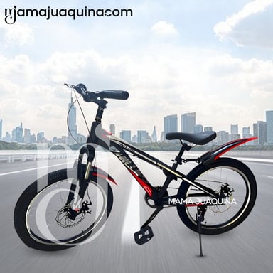 BICICLETA DEPORTIVA ARO 20 «SKINY PHILLIPS» EDICIÓN LIMITADA RED - 4
