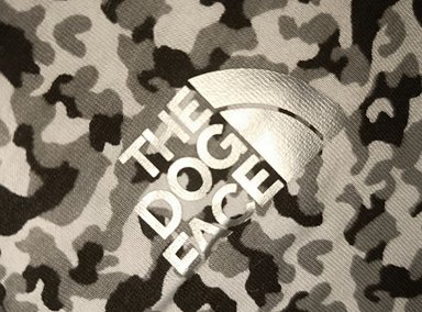 ENTERIZO FRANELA PERRO DISEÑO'S PET CAMUFLADO TALLA 5 - 4