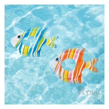 INFLABLE CON DISEÑO DE PEZ RAYADO CELESTE Y+REGALO AGENDITA - 2