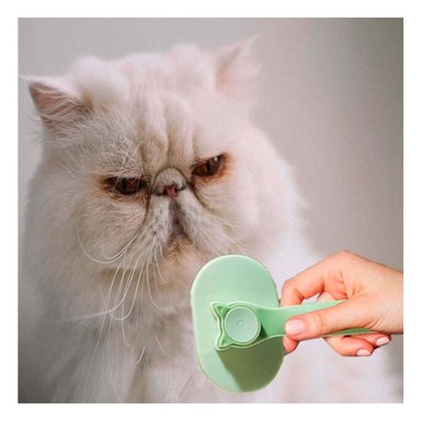 PEINETA RYBIU MA29963 LIMPIAR PELO GATO VERDE + POST-IT ADHESIVOS - 2