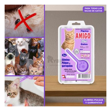GOTERO CAT RYBIU EN MORADO + REGALO LIGAS PEINAR - 2