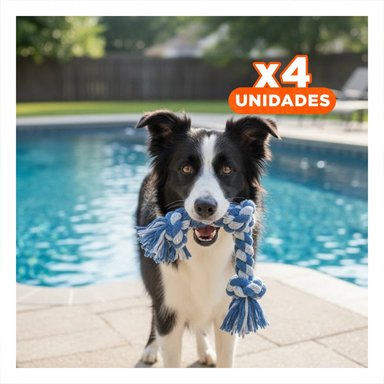 PACK4 ELEMENTO DE JUEGO PARA PERROS PARA INTERACCION AZUL - 1