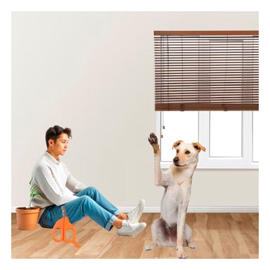 CORTA UÑA COMPACTO PARA GATOS Y CACHORROS NARANJA Y+LIGAS REGALO - 1