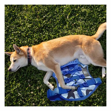 PACK4 ARNES AJUSTABLE PARA PERRO AZUL TALLA M MODELO TACTICO - 2