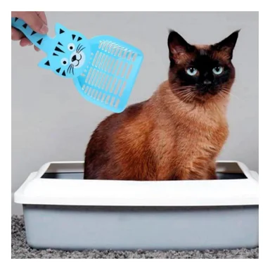 PACK4 UTENSILIO PLASTICO CARA DE GATO AZUL PARA JARDIN Y HOGAR FESTIVA Y+PAPEL REGALO - 2