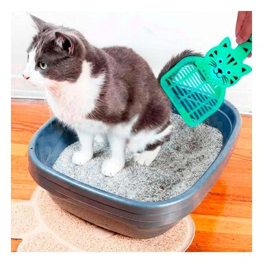 PACK4 IMPLEMENTO CARA DE GATO VERDE PARA JARDIN Y DECORACION FESTIVO HOGAR Y+REGALO STICKER - 3
