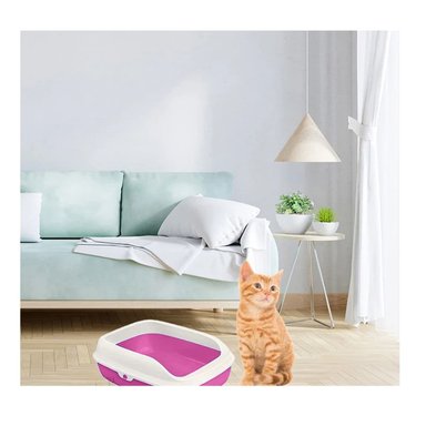 PACK4 CAJA HIGIENICA SEMICERRADA ROSADO PARA GATOS CON DISENO PRACTICO - 3