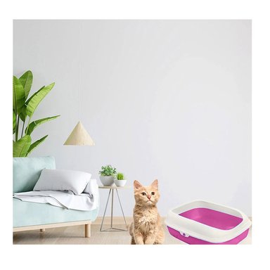 PACK4 CAJA HIGIENICA SEMICERRADA ROSADO PARA GATOS CON DISENO PRACTICO - 5