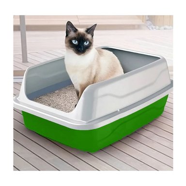 PACK6 CONTENEDOR HIGIENICO VERDE PARA GATOS CON DISENO CUBIERTO - 3