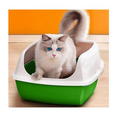 PACK6 CONTENEDOR HIGIENICO VERDE PARA GATOS CON DISENO CUBIERTO - 5
