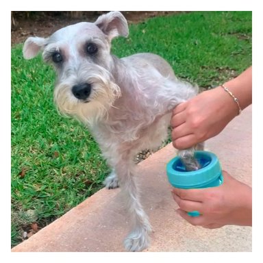 PACK4 HERRAMIENTA PEQUENA PARA LIMPIAR PATAS DE MASCOTA CELESTE FÁCIL DE USAR Y+REGALO STICKER - 5