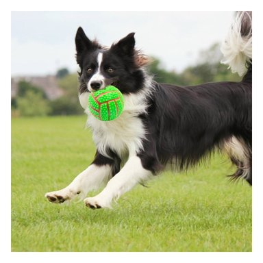 PACK6 SET DE JUEGO VERDE PARA PERRO DE CAUCHO CON RAYAS Y RELIEVE - 5