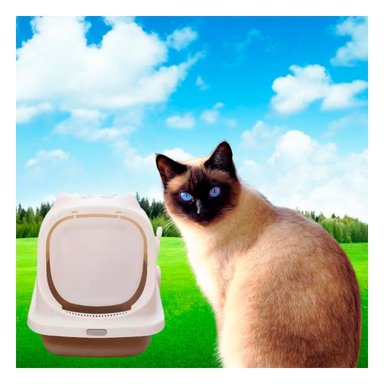 PACK2 SET SANITARIO CERRADO CON OREJITAS DE GATO MARRON PARA CASA Y+PAPEL REGALO - 2