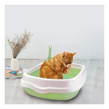 PACK12 ESTRUCTURA VERDE PARA GATO CON PALA CERNIDORA 40X33X11 Y+REGALO STICKER - 5