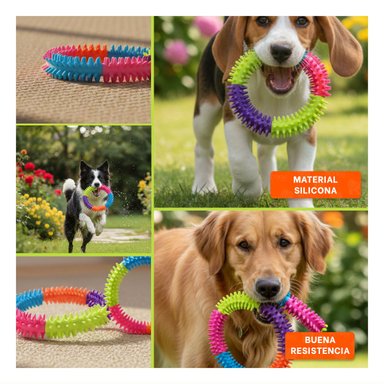 PACK2 ACCESORIO MODERNO PARA MASCOTAS DE JEBE PUNTEADO DE COLORES Y+PAPEL REGALO - 3