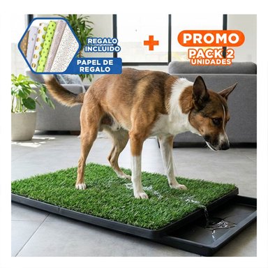 PACK2 PRESENTACION HIGIENICA PARA PERROS MEDIANO NEGRO NACIONAL PARA INTERIOR Y+PAPEL REGALO - 1