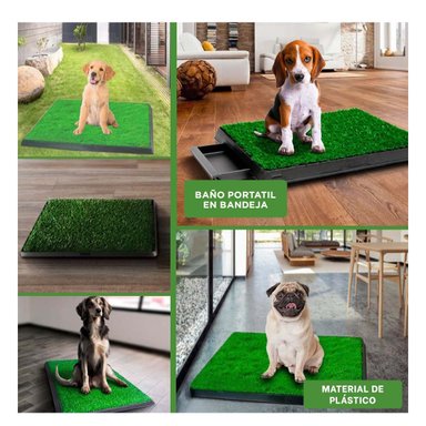 PACK2 PRESENTACION HIGIENICA PARA PERROS MEDIANO NEGRO NACIONAL PARA INTERIOR Y+PAPEL REGALO - 3