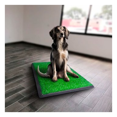 PACK2 PRESENTACION HIGIENICA PARA PERROS MEDIANO NEGRO NACIONAL PARA INTERIOR Y+PAPEL REGALO - 5