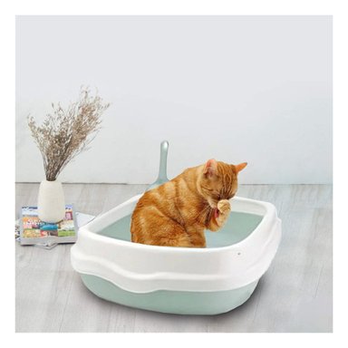 PACK6 UNIDAD VERDE PARA GATO CON PALA CERNIDORA 48X40X12,5 - 5