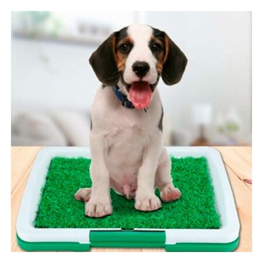 PACK2 COLECCION SANITARIA PARA PERROS CACHORRO BLANCO FUNCIONAL PARA CASA - 2