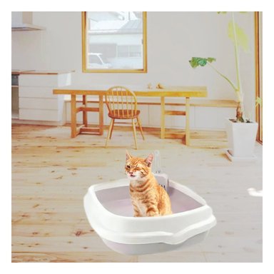 PACK4 SISTEMA LILA PARA GATO CON PALA CERNIDORA 48X40X12,5 Y+PAPEL REGALO - 2