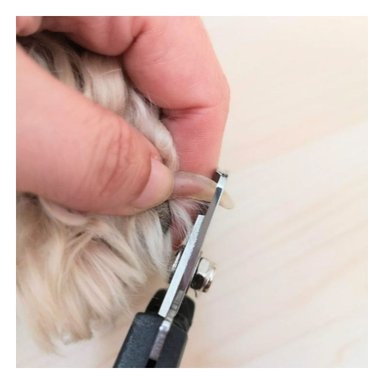 PACK2 ACCESORIO DE ASEO CON MANGO ERGONOMICO ANARANJADO TALLA L PARA USO - 2