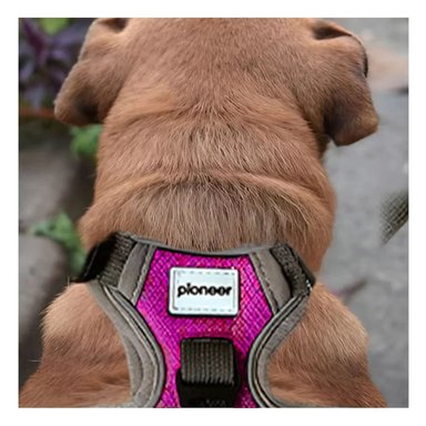 PECHERA PARA PERRO FUCSIA TALLA L COMODA Y RESISTENTE PARA EXTERIORES Y+PAPEL REGALO - 3