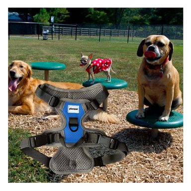 PACK2 CHALECO IMPERMEABLE PARA PERRO AZUL TALLA M IDEAL PARA LLUVIA - 2