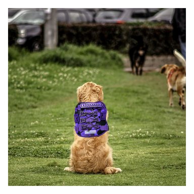 PACK4 ESTABLE PECHERA TACTICO PARA PERRO MORADO AJUSTABLE PARA PASEOS Y ENTRENAMIENTO - 2