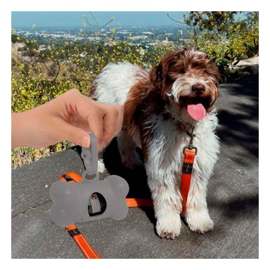 PACK4 CONTENEDOR CANINO GRIS CON DISENO COMPACTO PARA PASEOS Y+REGALO STICKER - 3