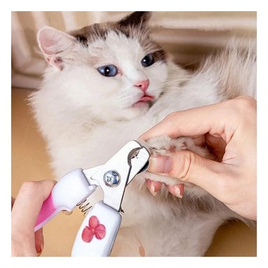 PACK12 HERRAMIENTA DE GROOMING PARA UN AMBIENTE DE MUCHA PAZ ROSADO CHICO Y+REGALO STICKER - 5