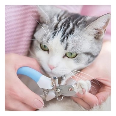 PACK6 SET DE PEDICURA PARA MASCOTAS PARA FOMENTAR MUCHA LIMPIEZA AZUL GRANDE - 3