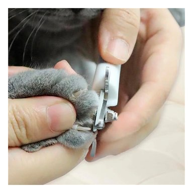 PACK6 HERRAMIENTA DE GROOMING CON TOPE AZUL CHICO PARA MAS SEGURIDAD Y+PAPEL REGALO - 5
