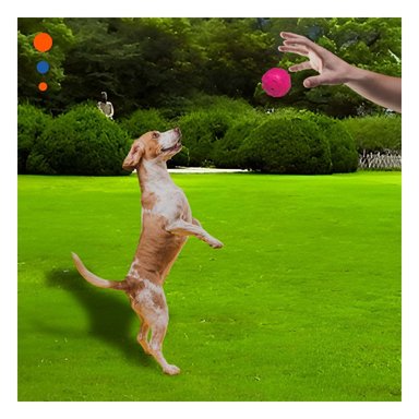 PACK2 JUGUETE CANINO PET PARA ACTIVIDAD FISICA CON HUESITOS FUCSIA Y+PAPEL REGALO - 2