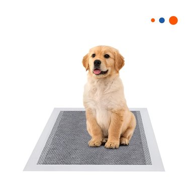ALFOMBRA PROTECTORA DE PISO CANINO 60X45 CM TALLA M 50 NEGRO Y+REGALO STICKER - 3