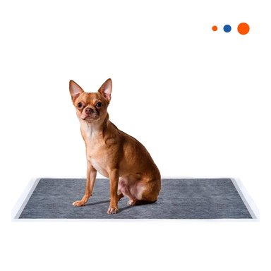 TOALLA HIGIENICA DESECHABLE 60X60 CM TALLA L CAJA 40 NEGRO Y+LIGAS REGALO - 3